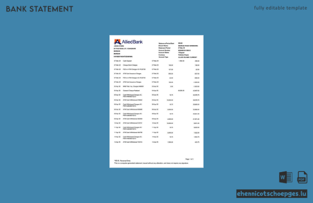 Beispiel eines Kontoauszugs der Pakistan Allied Bank Limited (Vorschau)